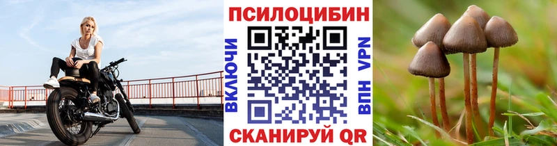 купить наркотики цена  Орск  ссылка на мегу tor  Галлюциногенные грибы Cubensis 