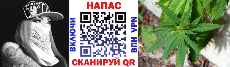 наркотики  Орск  МАРИХУАНА Ganja 